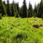 In Bayern sagt man dazu wohl Schachten In Bayern sagt man dazu wohl Schachten