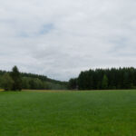 Seh ich da etwas blau?