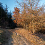 Weidetor Marke Walderdorf