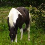 Lass mich in Ruhe futtern! Lass mich in Ruhe futtern!