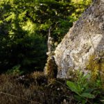 Obelisk am Wegesrand Obelisk am Wegesrand