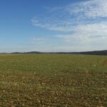 Wolkenwirbel über dem Hirschwald