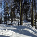 Räumhaufen vor dem Weingartnerfels