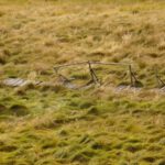 Nicht naturschutzgerecht entsorgt