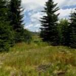 Im Dreckigen Filz Im Dreckigen Filz