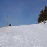 ...oder sind es die Bäume neben der Loipe?