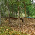 Aufgeräumt Aufgeräumt