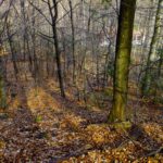 Aufstieg zum Kohlriegel