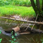 Aufgesessen Aufgesessen