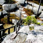 Leb ich noch oder bin ich schon tot? Leb ich noch oder bin ich schon tot?