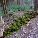 Vergessenes Brennholz