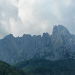 Ja, der Kaiser ist wild