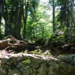 Über Stock und Stein