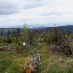 Am Grenzsteig angekommen Am Grenzsteig angekommen