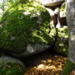 Ja, es war mal natürlich