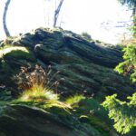 Bei bestimmten Lichtverhältnissen werden nicht ganz scharfe Bilder zu Kunstwerken