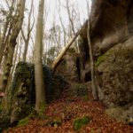 Überraschende Vegetation