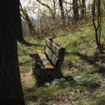 Noch ein Sanierungsfall Noch ein Sanierungsfall