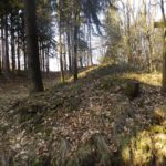 Ringwall auf dem Johannisberg