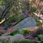 Der Bach ist ganz leicht zu queren