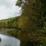 Flussabwärts ist der Wald spektakulärer als der Spiegel