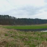 Man könnte fast meinen, dass die Schwarzach leichtes Hochwasser führt