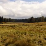 Der Filz mal ganz in der Sonne