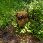 Überwucherter Grenzstein in leckerer Nachbarschaft Überwucherter Grenzstein in leckerer Nachbarschaft