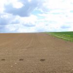 Maulwurfspuren Maulwurfspuren