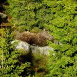 Ausgetrockneter Tümpel Ausgetrockneter Tümpel