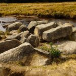 Steinhaufenblümchen