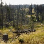 Unten die Alte Schwelle