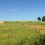 Strahlfelder Hinterland