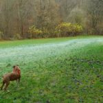 Ob hier vor Februar wieder Sonne auftaucht? Ob hier vor Februar wieder Sonne auftaucht?