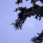 Impressionen aus Eis