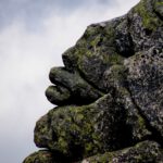 Ein mürrischer Geselle