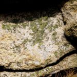 Schriftsystem aus Flechten. Es muss allerdings erst noch entziffert werden Schriftsystem aus Flechten. Es muss allerdings erst noch entziffert werden