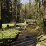 Brücke am Abzweig des Mühlenkanals