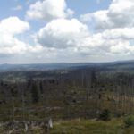 Schade, dass der Zugang zu diesem wunderbaren Gebiet so stark eingeschränkt ist Schade, dass der Zugang zu diesem wunderbaren Gebiet so stark eingeschränkt ist