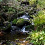 Verlorener Schachtenbach