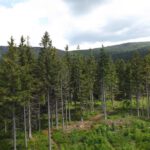 Alles, was Plöckenstein heißt