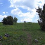 Da muss ich aber wirklich rauf!