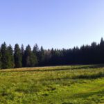 Flur um Bügellohe Flur um Bügellohe