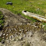 Furt an der Viehtränke