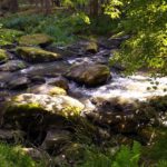 Schnellplätscher Schnellplätscher