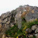 Diesen Felsen hielt ich mangels Sicht für den Gipfel des Färistocks. Er war mir so und so zu heikel zum Draufklettern, also machte ich hier meine kurze Brotzeitpause Diesen Felsen hielt ich mangels Sicht für den Gipfel des Färistocks. Er war mir so und so zu heikel zum Draufklettern, also machte ich hier meine kurze Brotzeitpause