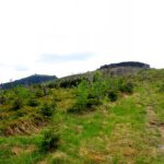 Endlich sind die beiden Brüder mal vereint auf einem Foto. Links der Große, rechts der Kleine Arber