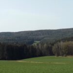 Da bin ich vor ner Stunde drübergelaufen