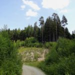 Ehemaliger Steinbruch