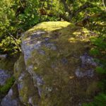 Höchster Punkt der Steinernen Wand Höchster Punkt der Steinernen Wand